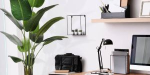 Scandinavian HOME
